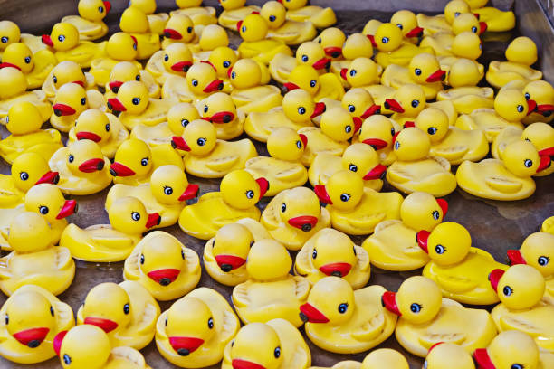 The Great Duck Races… Fundraising for our Sheltered Work Opportunities Project