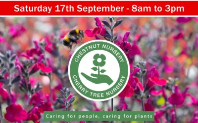 Plant Sale and Autumn Fayre Saturday 17th September