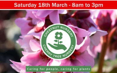 Plant Sale and Spring Fayre Saturday 18th March 8am to 3pm