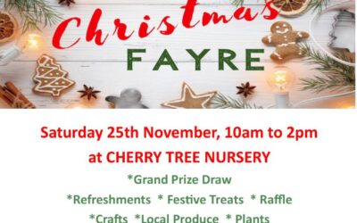 Christmas Fayre Saturday 25th November 10am to 2pm