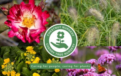 Saturday 16th March – Plant Sale and Spring Fayre